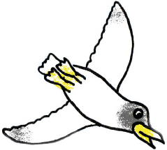 Dieses bild zeigt eine Illustration einer fliegende Möwe