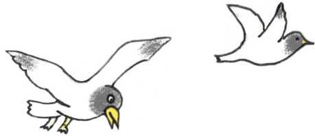 Dieses Bild zeigt eine Illustration von Möwen.