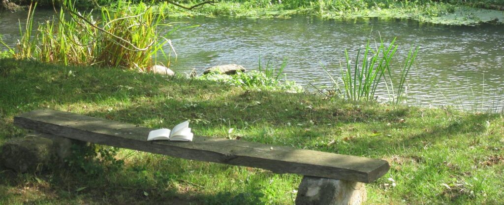 dieses Bild zeigt eine Holzbank in der Natur, auf der ein Buch liegt.
