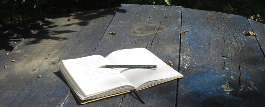 Dieses Bild zeigt ein aufgeschlagenes Buch mit einem Stift in der Natur.